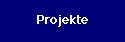  Projekte 